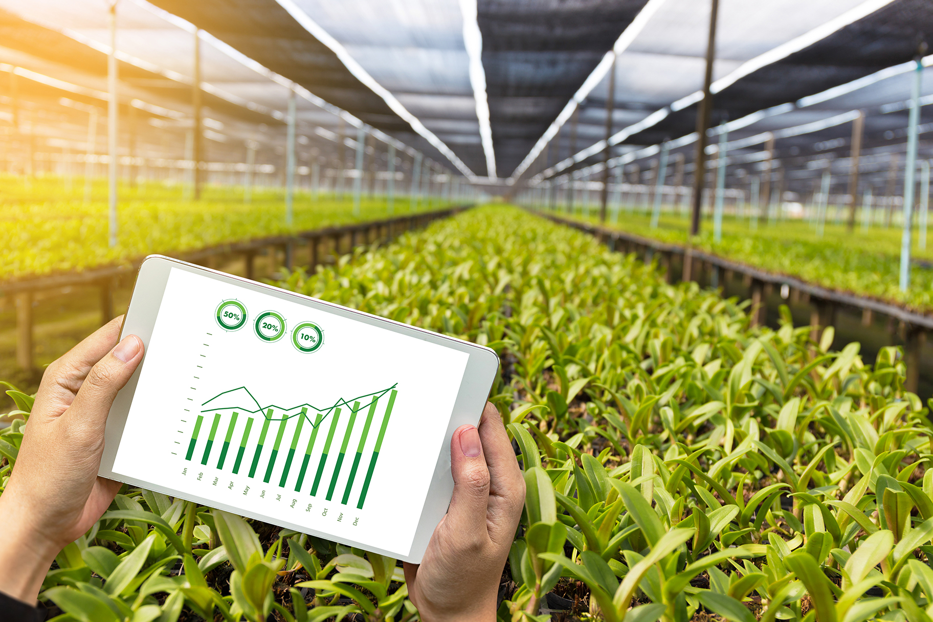 agriculture technology concept man Agronomist Using a Tablet in an Agriculture Field read a report