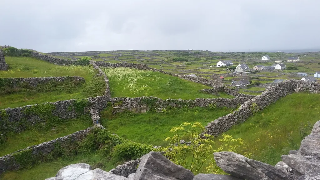 Nature en Irlande