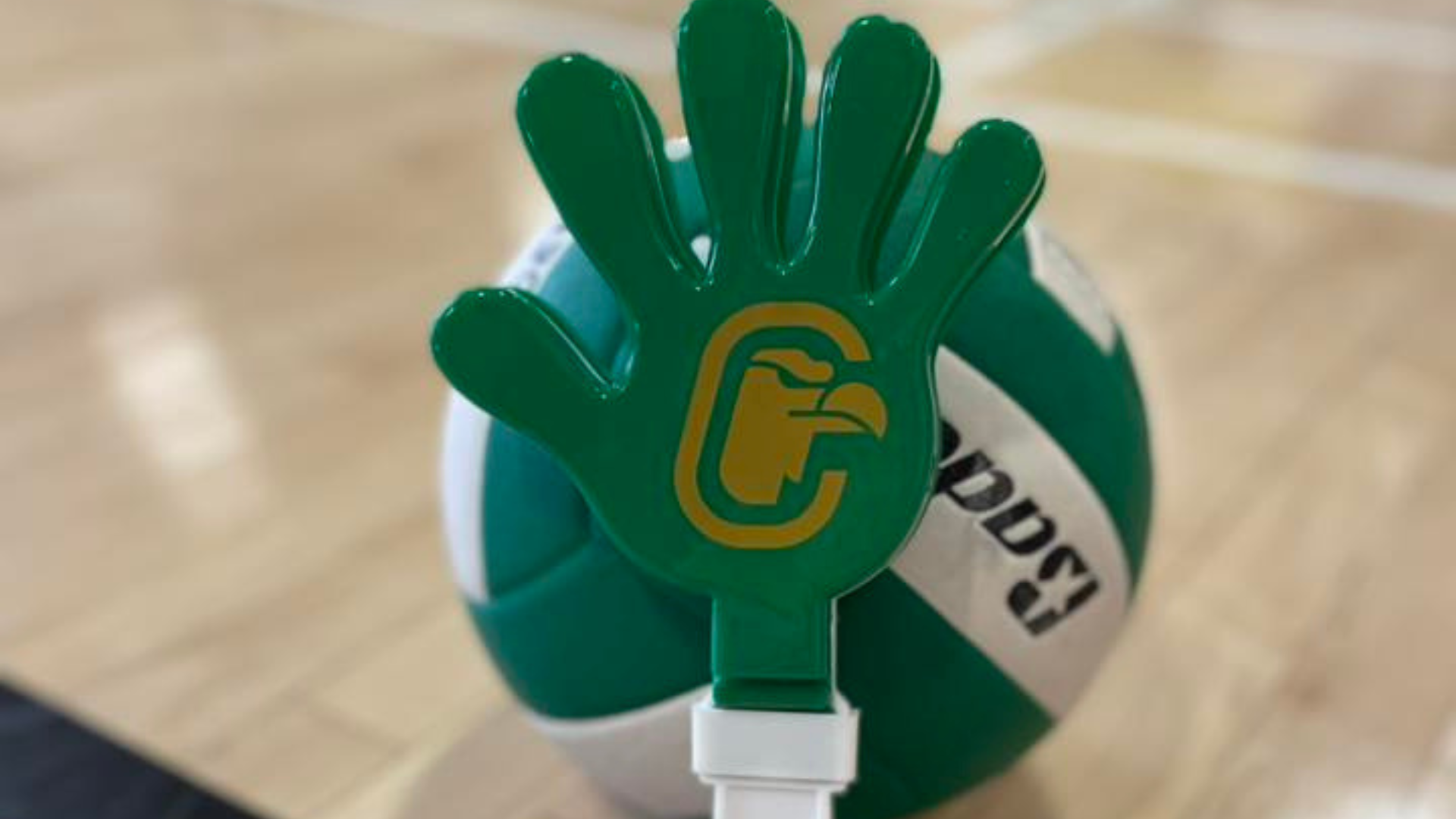 Condors volleyball